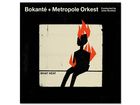 Bokanté & Metropole Orkest What Heat (LP)